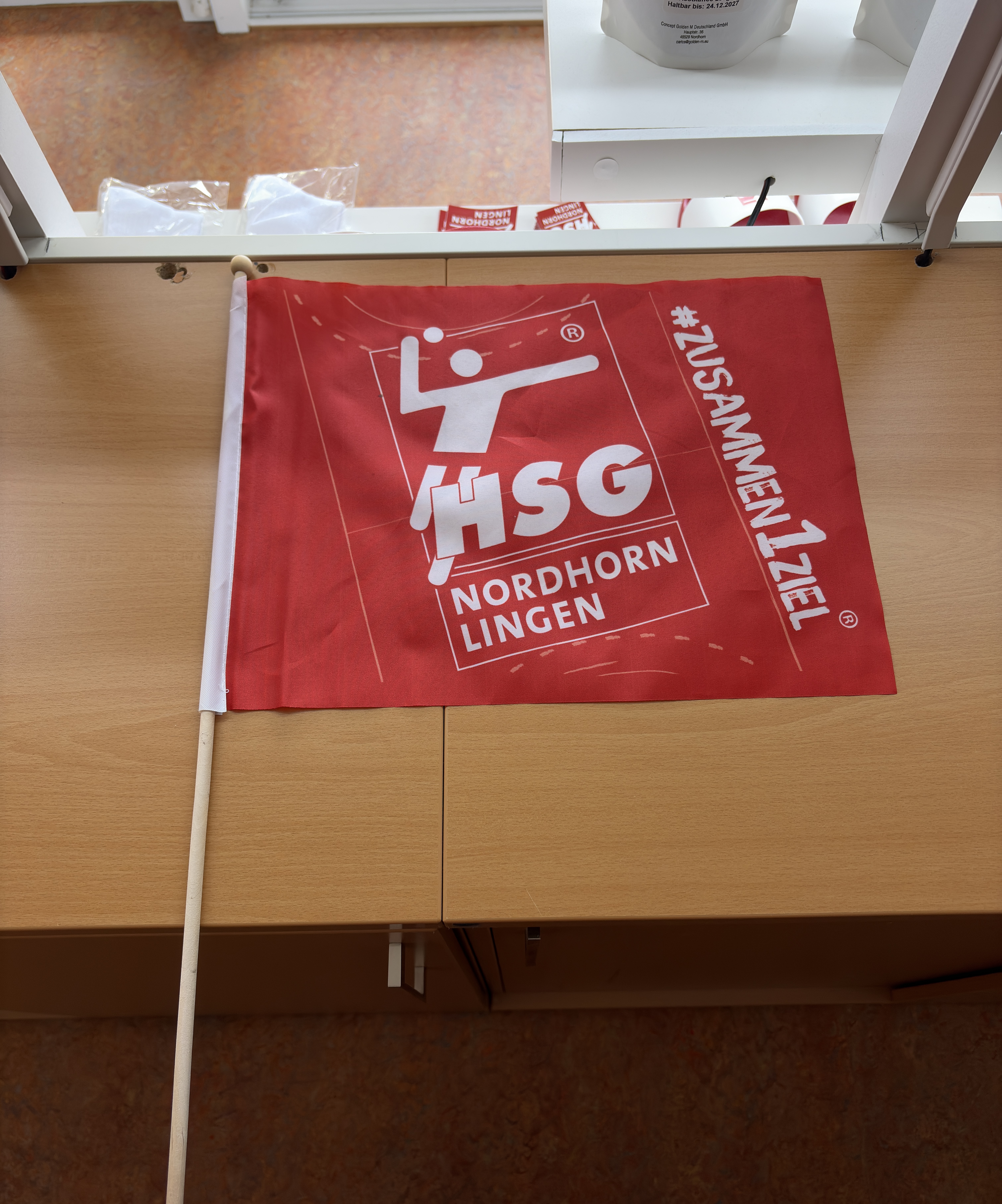 HSG Fahne