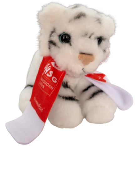 HSG Tiger mit Schal